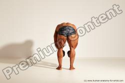 Bodybuilding reference poses of Ramon